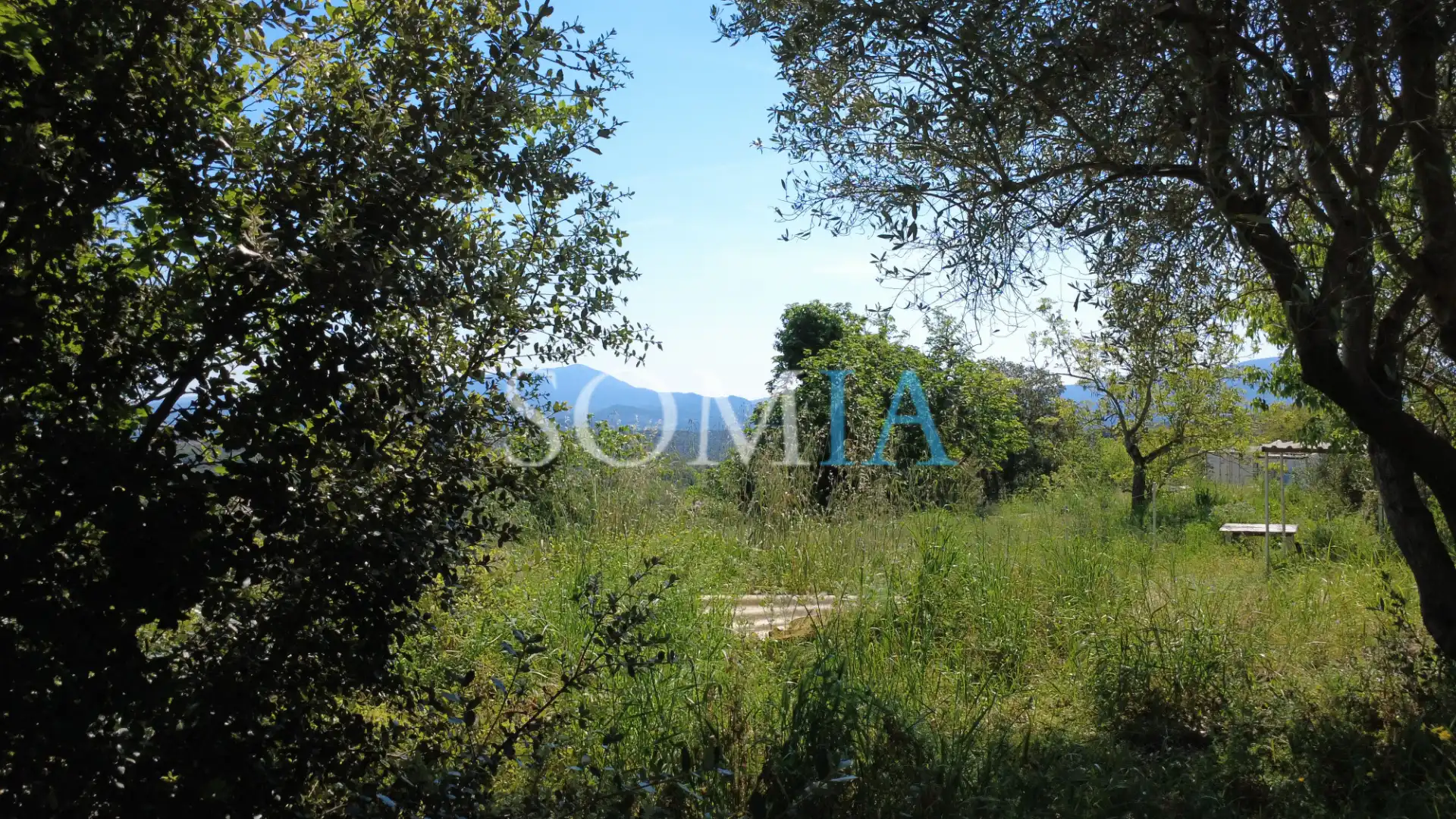 Finca rústica en venta en Sant Pere de Vilamajor