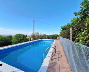 Piscina de Casa o xalet en venda en Alzira amb Jardí privat, Terrassa i Piscina