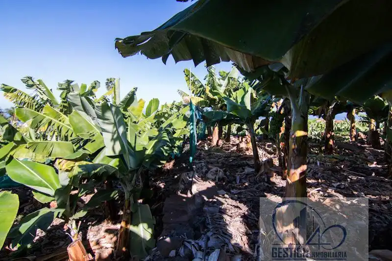 Finca rústica en venta en Puerto de la Cruz