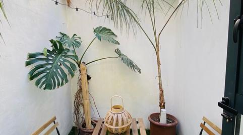 Photo 5 of Study for rent in Plaza de Navarro Rodrigo, Benalúa, Alicante / Alacant