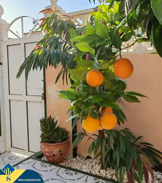 Casa amb piscina en venda a Los Balcones - Los Altos, imagen 5