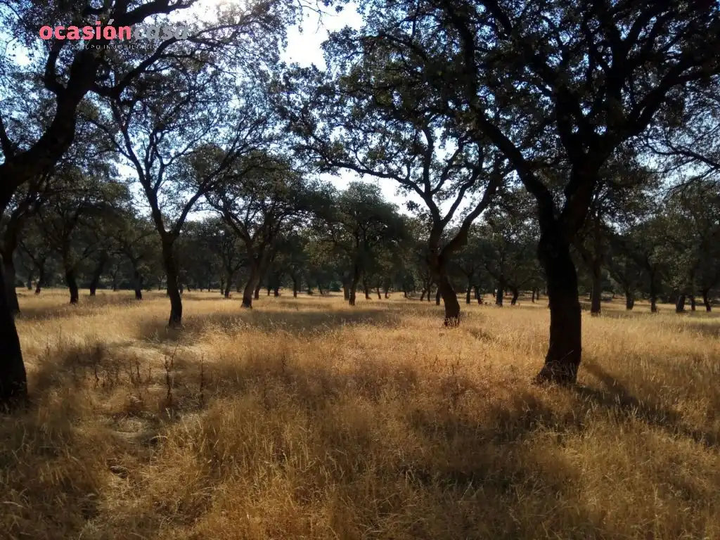 Country homes for sale in Torrecampo
