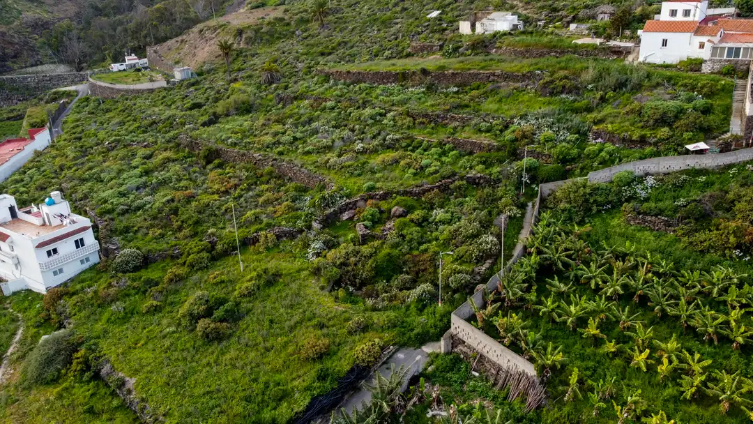 Vista exterior de Finca rústica en venta en Moya (Las Palmas)