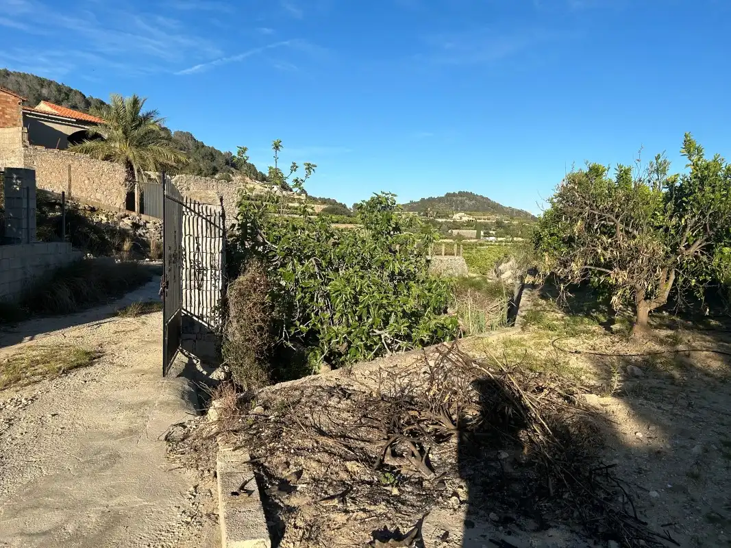 Finca rústica en venda a Urbanización Panorama II Sector 13, Oliva pueblo