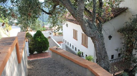 Una casa en el paraiso, imatge 3