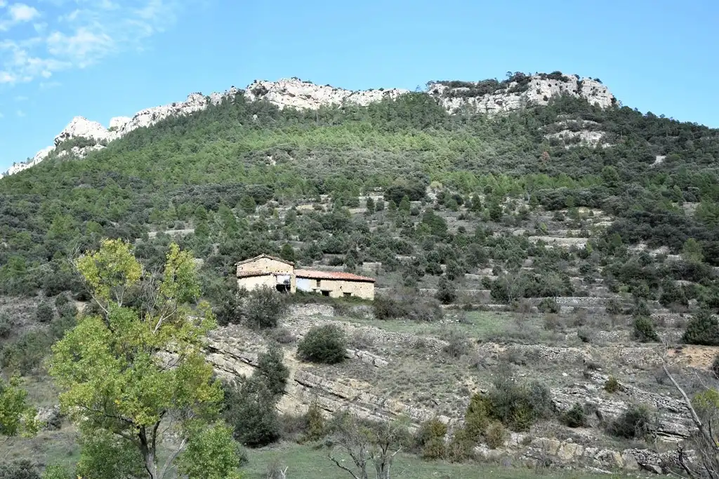 Terreni e lotti in vendita a Peñarroya de Tastavins