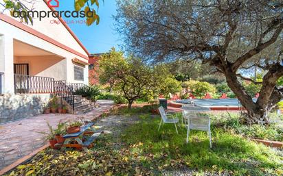 Jardí de Casa o xalet en venda en Borriol amb Jardí privat, Terrassa i Piscina