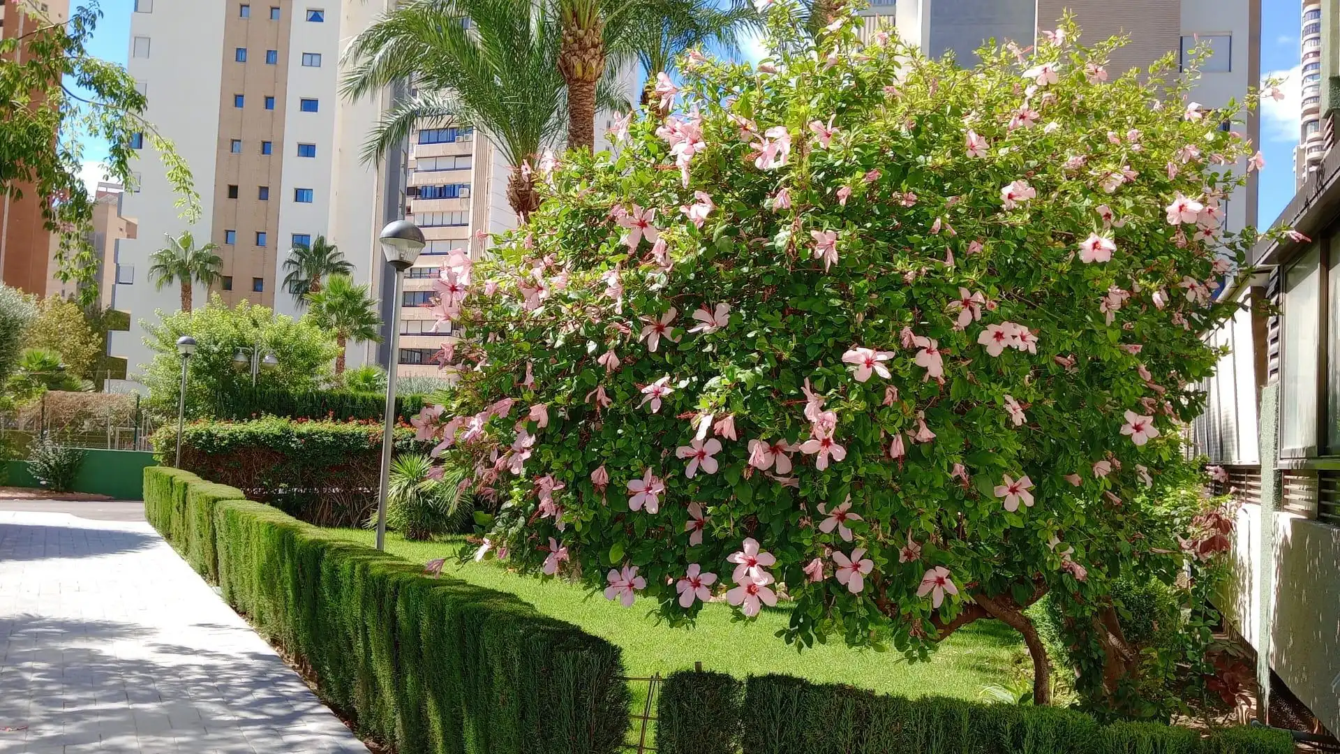 Apartments for sale in Calle Esperanto, Levante Alto