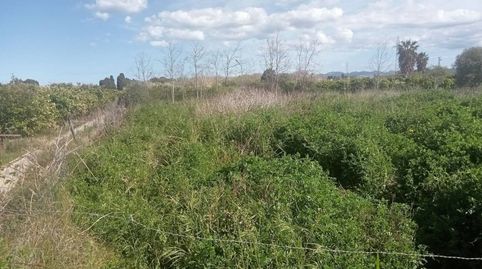 Foto 3 de Terreno en venta en Camino Senda de L´amo, 115, Miramar, Valencia