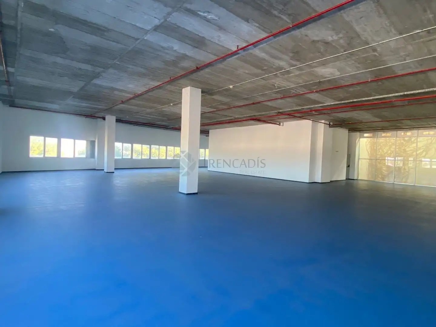 Gewerbefläche zum Verkauf in edificio el mundo, imagen 7