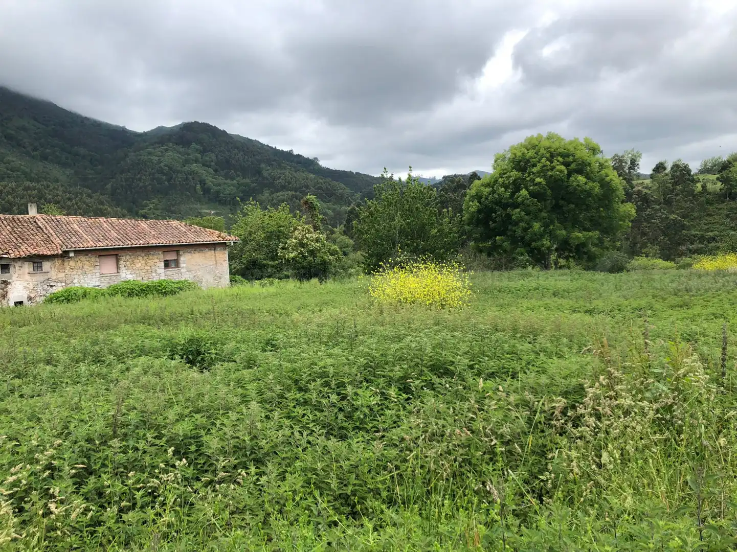 Wohnbaugrundstück zum Verkauf in Lastres - Núcleo rural urbano de Gobiendes, imagen 13