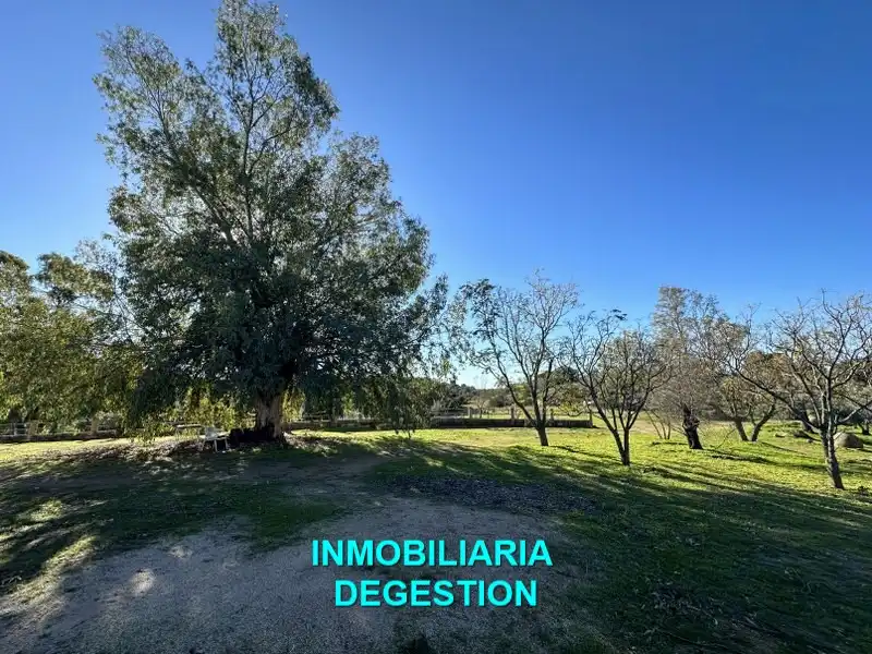 Terreni e lotti in vendita a Andújar, imagen 13