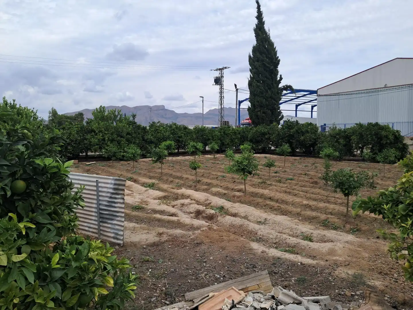 Maison rustique avec jardin à vendre à Calle de los Lechugas, imagen 5