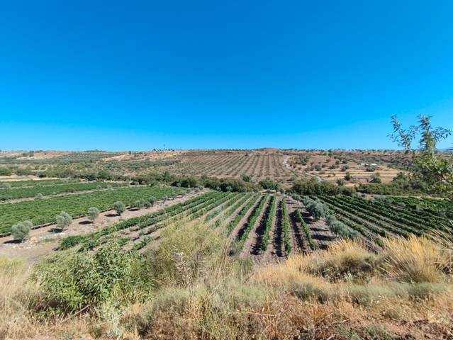Terreno en Venta en Camino de la Loma a Fiñana en Huéneja