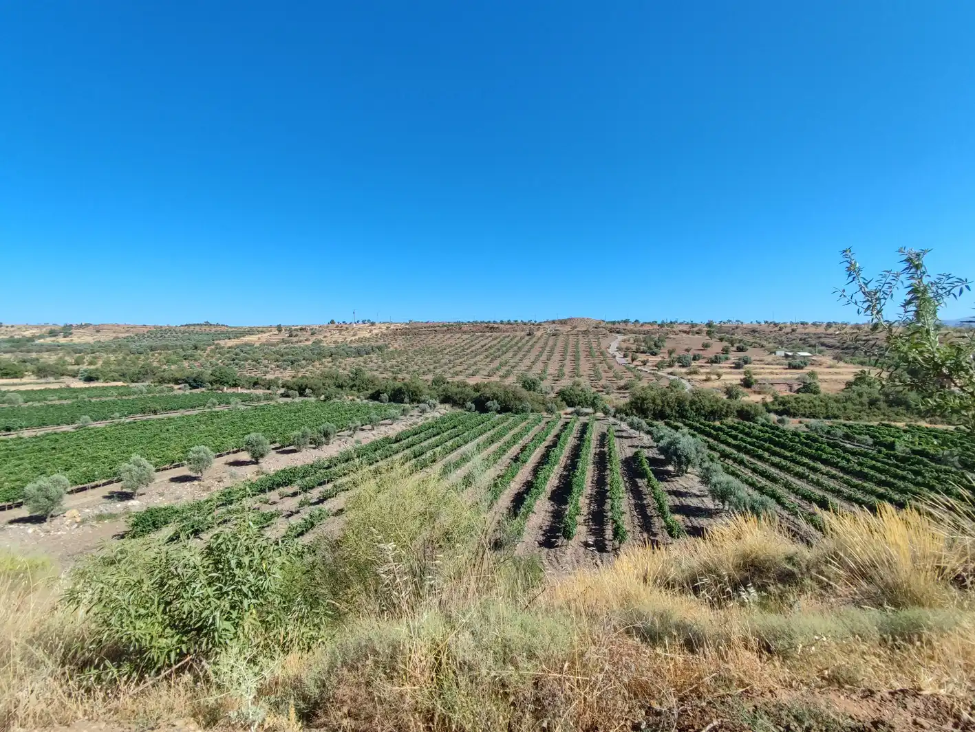 Land for sale in Huéneja