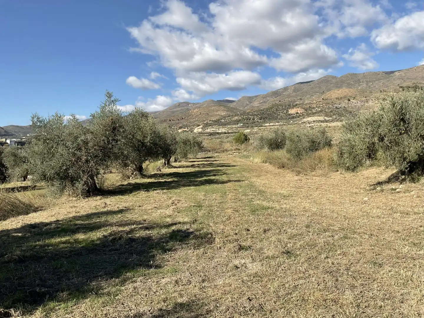 Land for sale in Padules