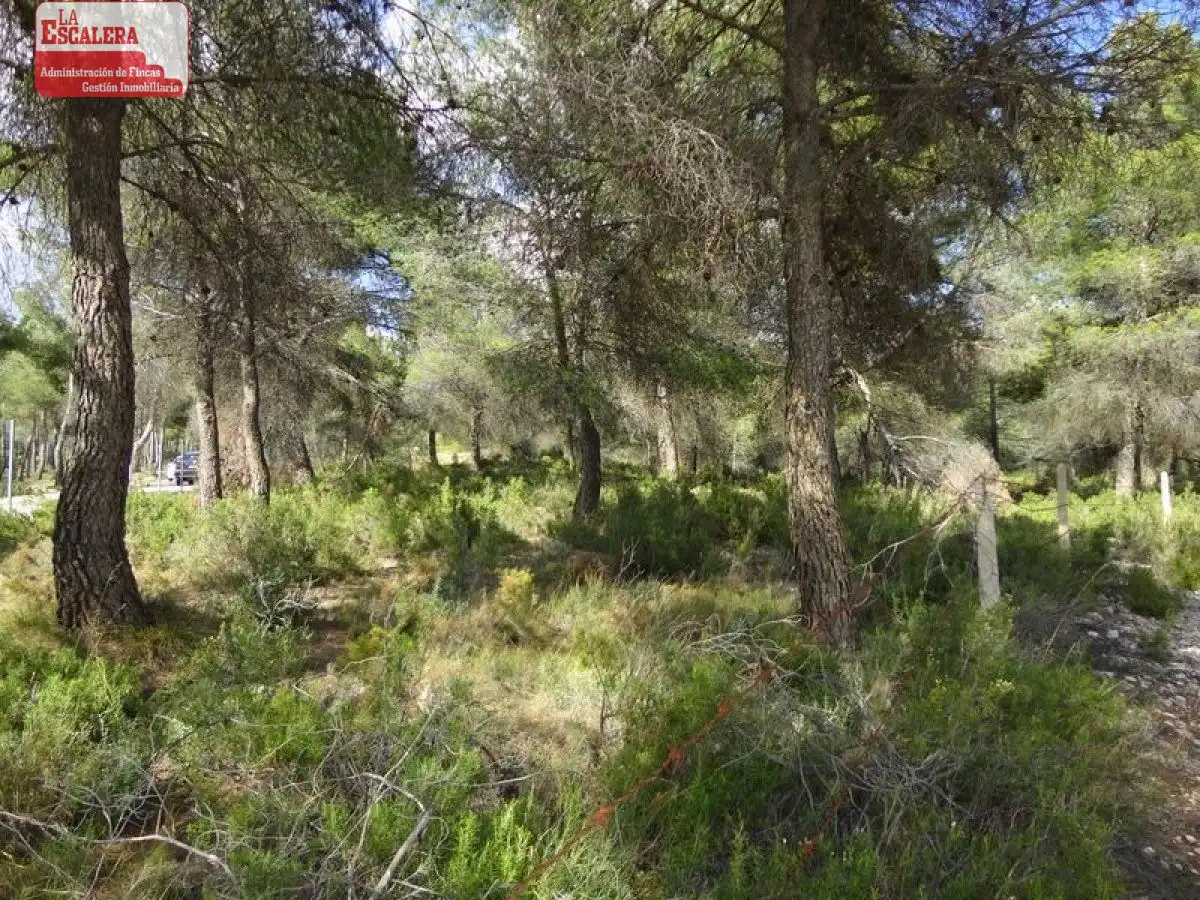 Terreno en venta en Ibi