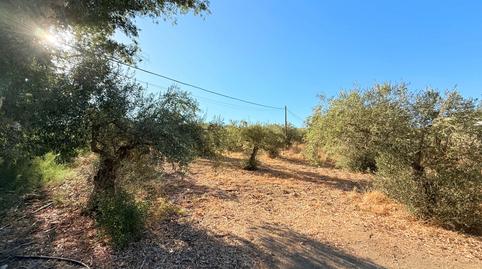 Photo 5 of Country house for sale in Álora, Málaga