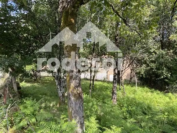 Rural land for sale in Lamela, imagen 2