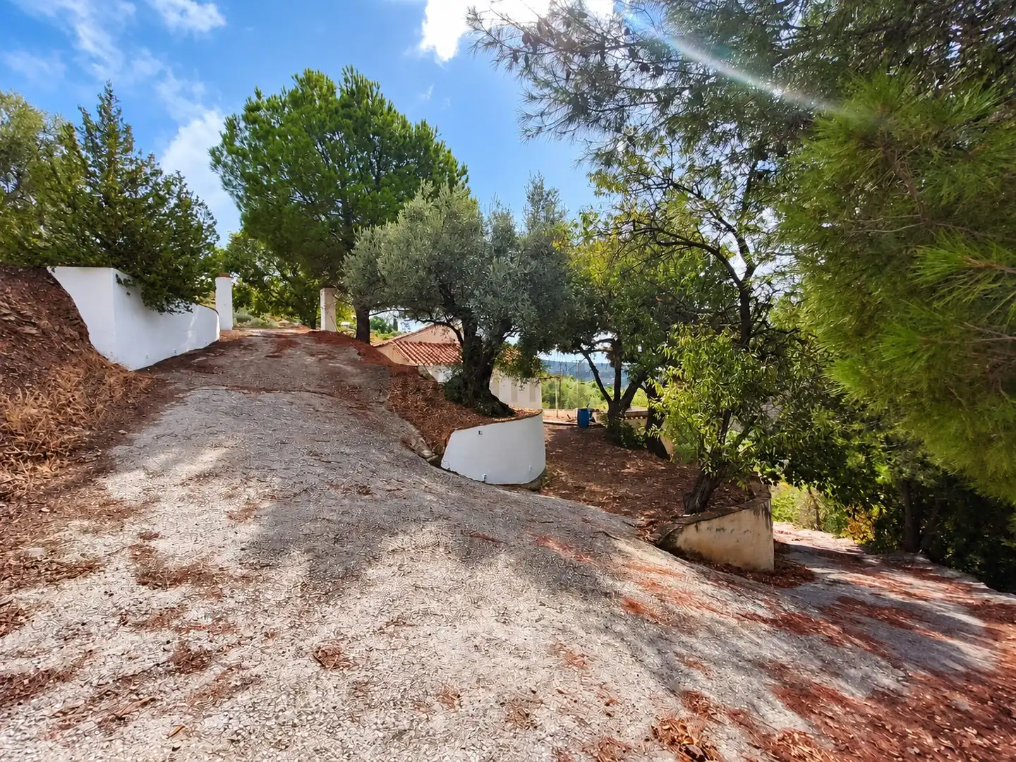 Casa o xalet en venda en Cómpeta amb Terrassa i Traster