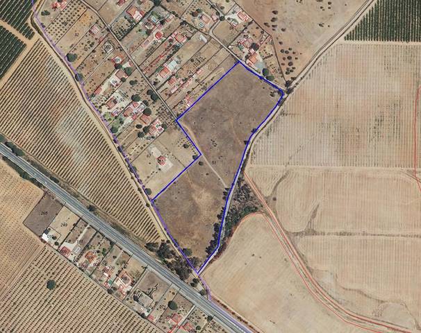 Terreno en Venta en Gibraleón