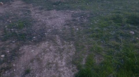 TERRENO 13 HECTAREAS EN CEHEGIN, imagen 2