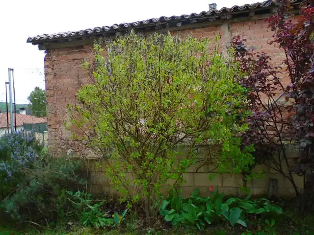 Jardín de Casa adosada en venta en Villaverde de Rioja con Calefacción, Jardín privado y Amueblado