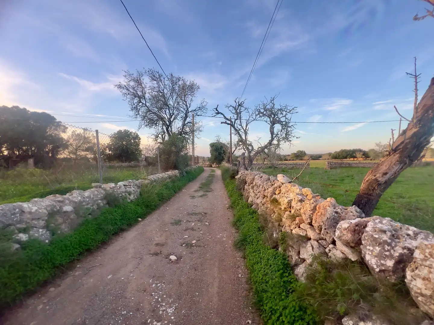 Rural land for sale in Cas Concos - Santanyí, imagen 22