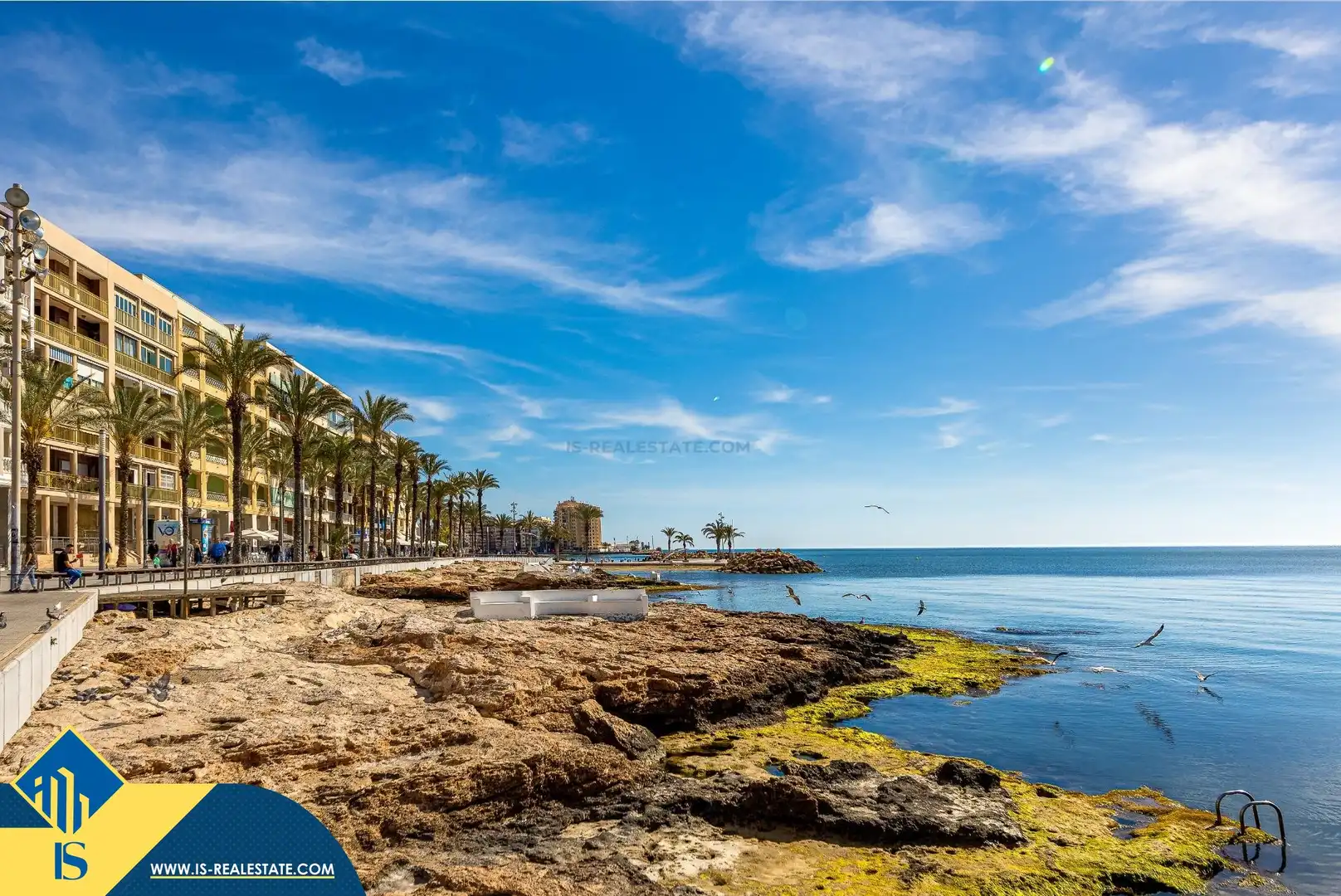 Vista exterior de Ático de alquiler en Torrevieja con Terraza, Trastero y Amueblado