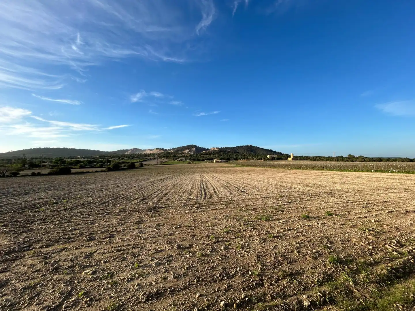 Terreny residencial en venda a Porreres, imagen 6