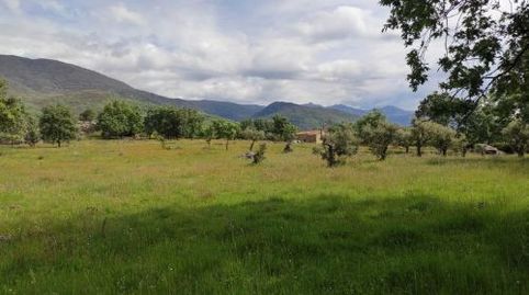 Foto 5 von Grundstücke zum Verkauf in Jarandilla de la Vera, Cáceres