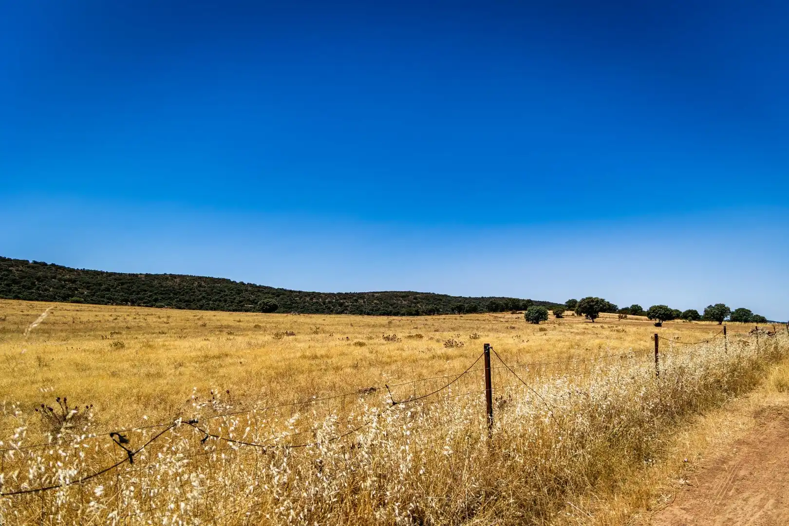 Terreno en venta en Peñarroya-Pueblonuevo