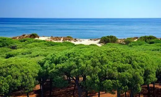 Jardí de Finca rústica en venda en Isla Cristina