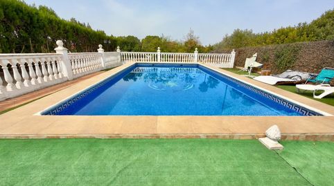 Foto 2 de Finca rústica en venta en Diseminados, Mairena del Alcor, Sevilla