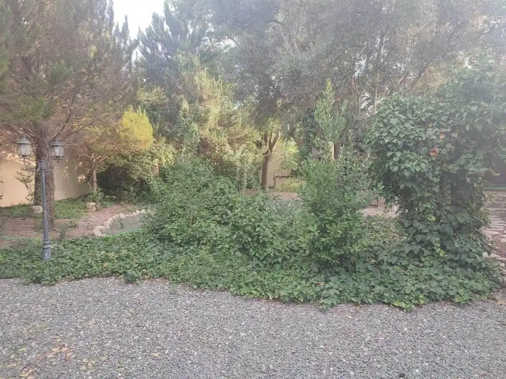 Casa o xalet en venda en Totana amb Calefacció, Jardí privat i Terrassa