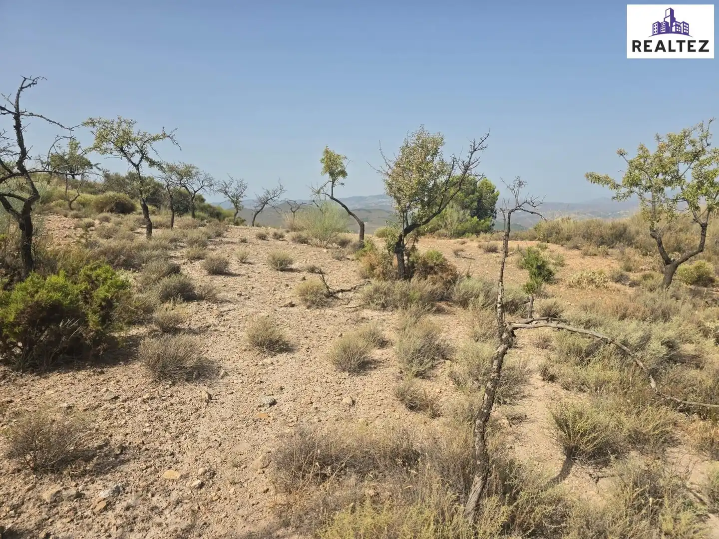 Terrain rustique à vendre à Alcolea, imagen 5
