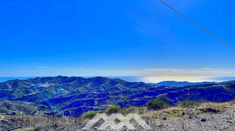 Foto 2 de Finca rústica en venda a Diseminados Tio Guardia, Almáchar, Málaga