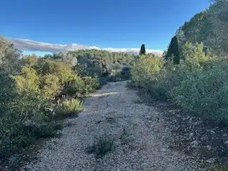 Terreno rustico in vendita a Cabanes, imagen 3