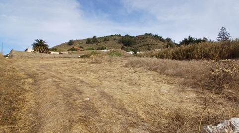 Foto 5 de Finca rústica en venta en Vega Lagunera, Santa Cruz de Tenerife