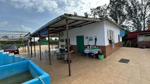 Foto 5 de Finca rústica en venta en Pedanías Norte, Utrera