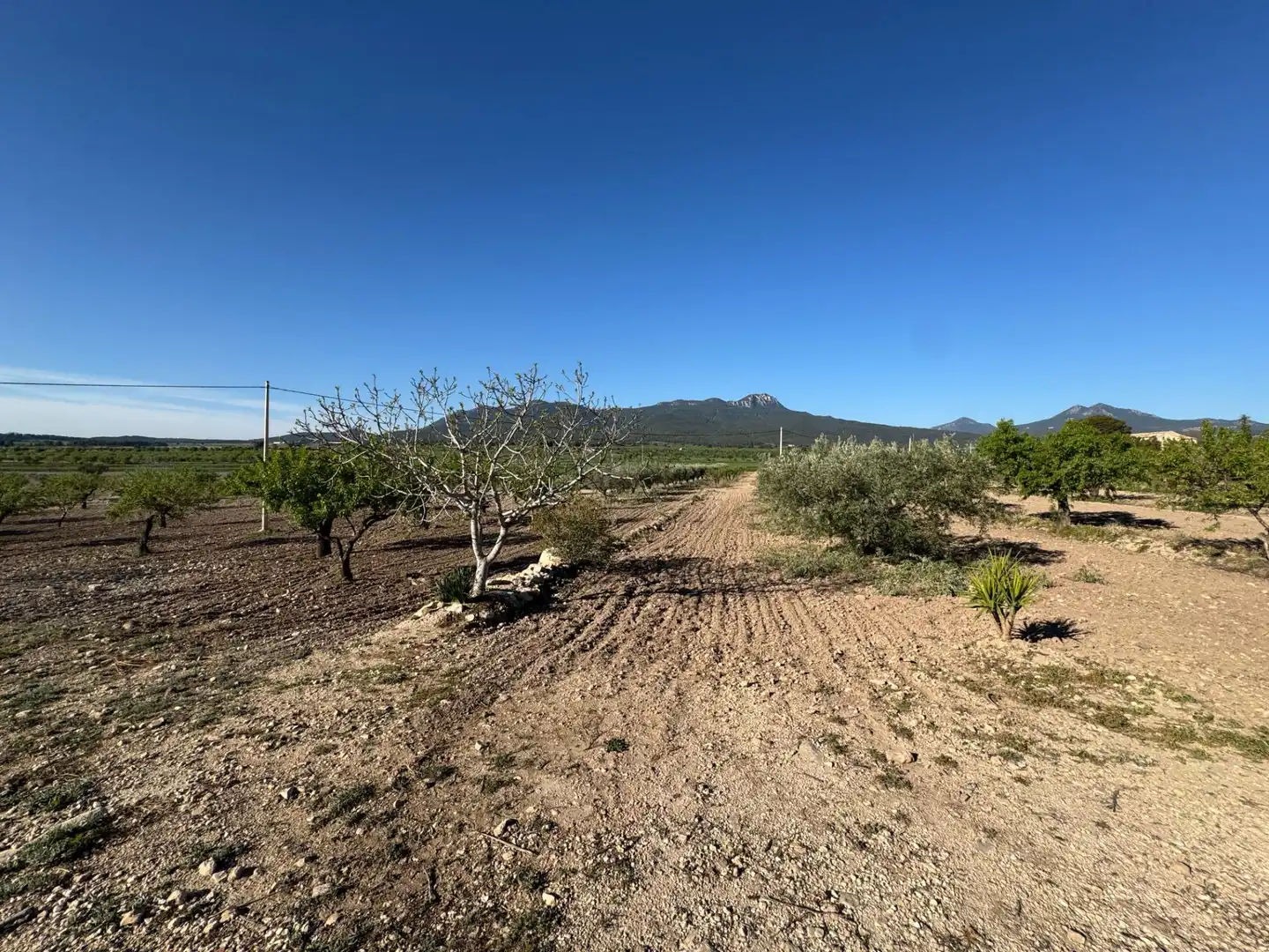 Casa con jardín en venta en Moratalla, imagen 16