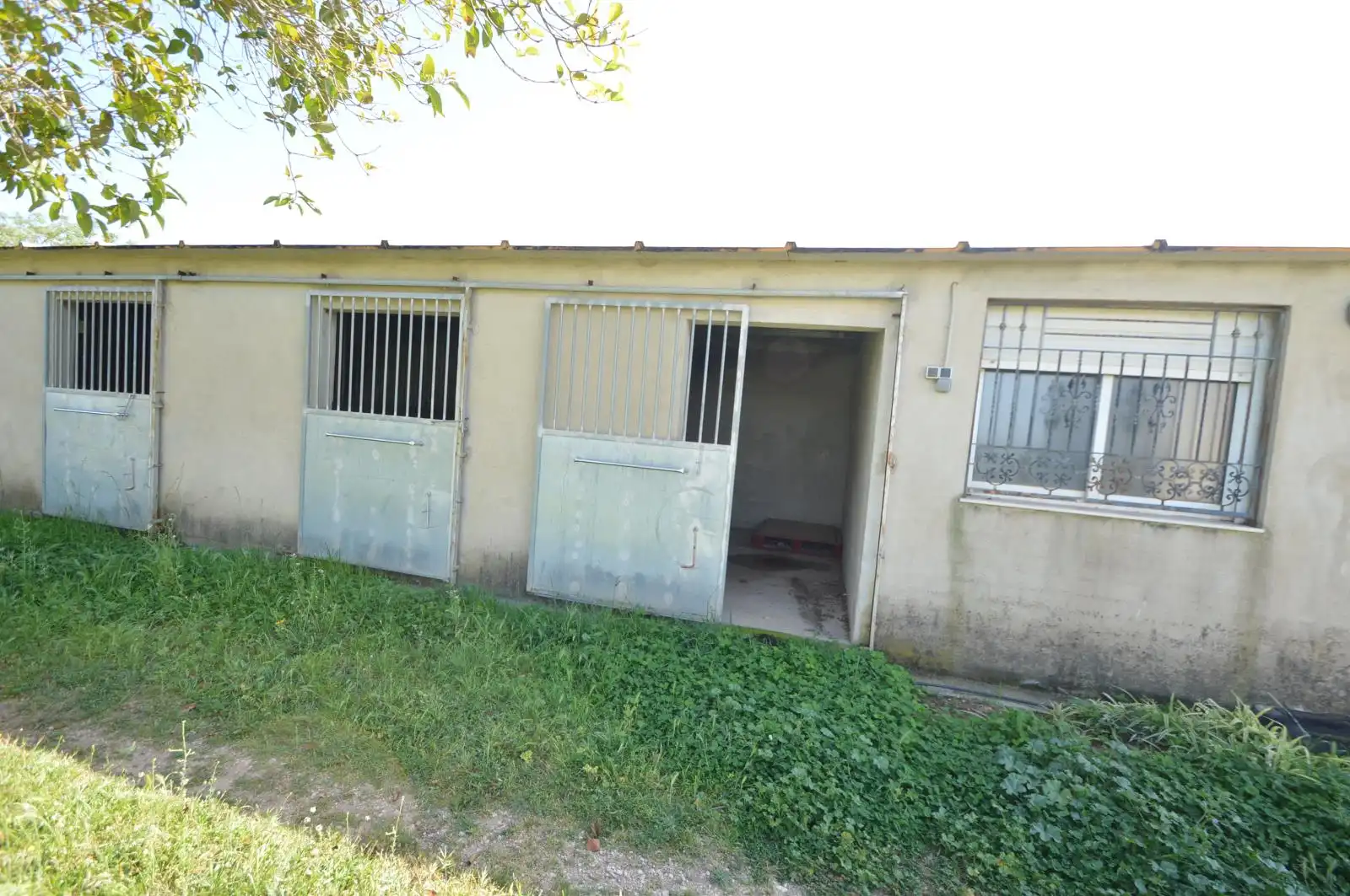 Terreno rustico in vendita a Partidas de interior - Zona Rústica, imagen 28
