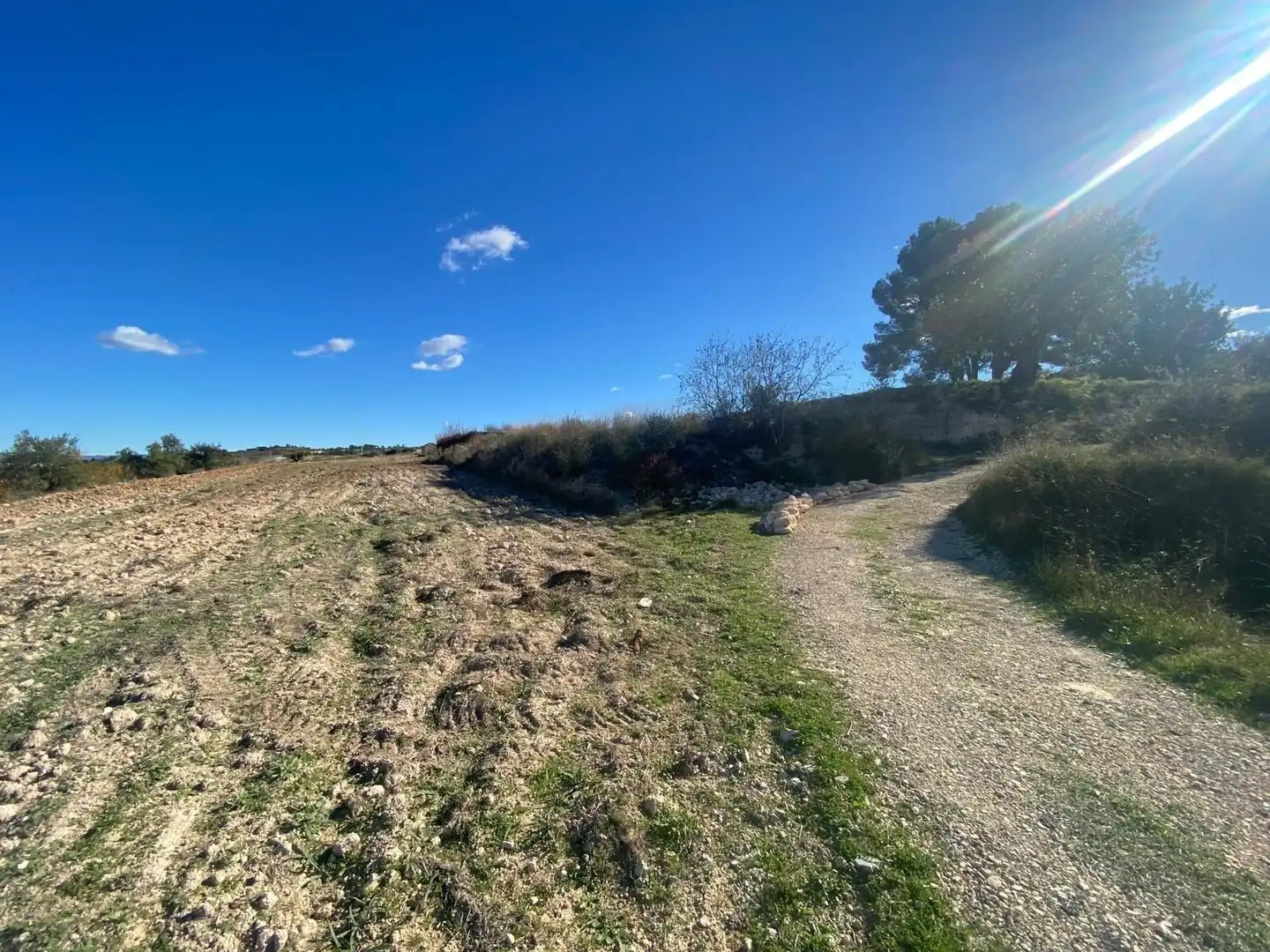Terreno rustico in vendita a Albaida, imagen 8