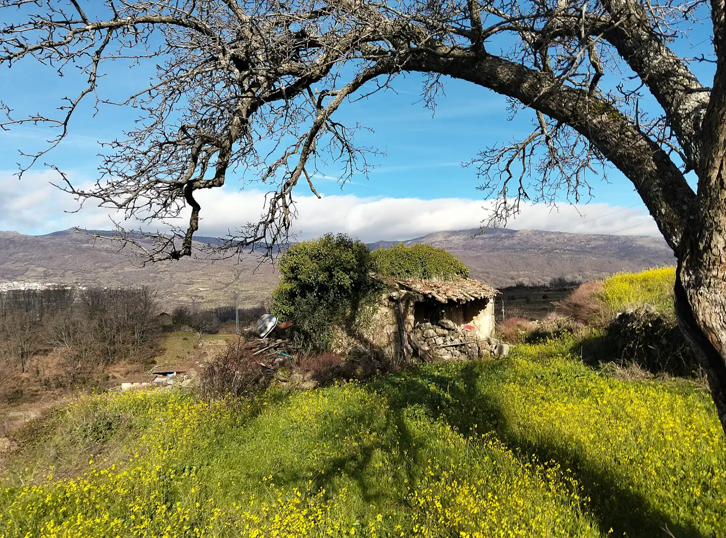 Garden of Land for sale in Casas del Castañar