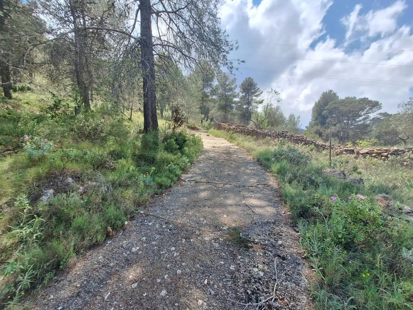 Finca rústica en venda en Alcoy / Alcoi amb Traster i Moblat