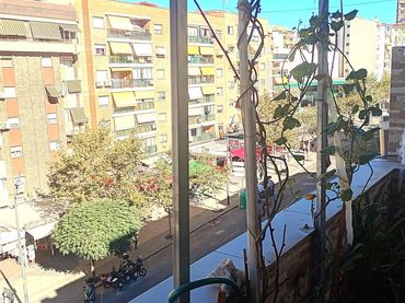 Attique avec ascenseur à vendre à Centro Urbano