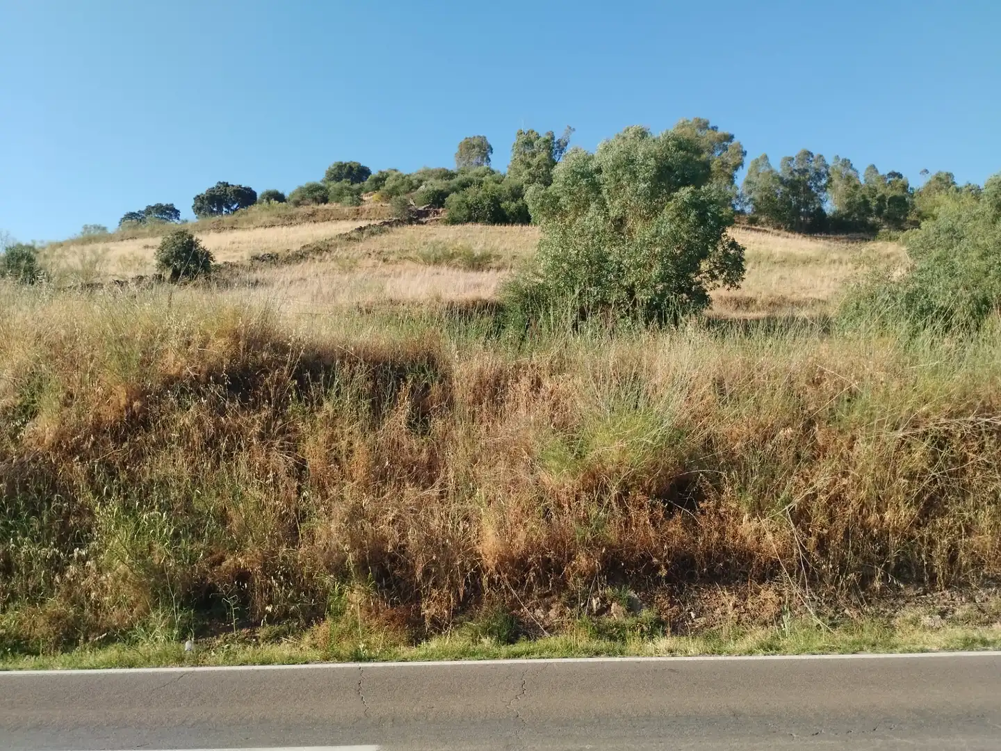 Terreni e lotti in vendita a Jerez de los Caballeros, imagen 4