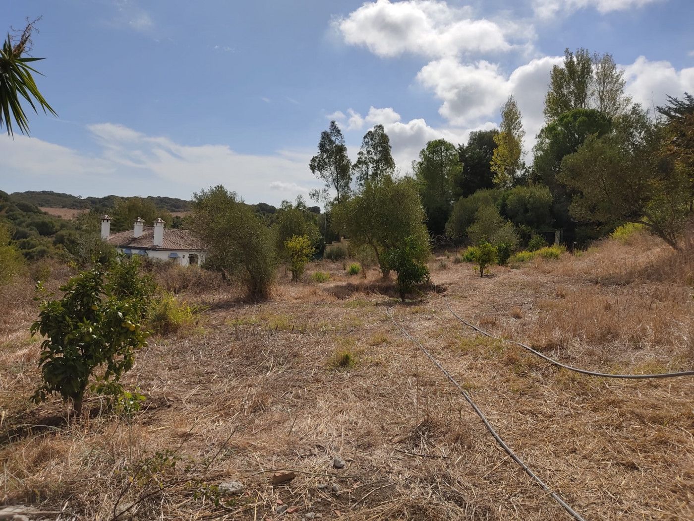 House or chalet for sale in Los Barrios