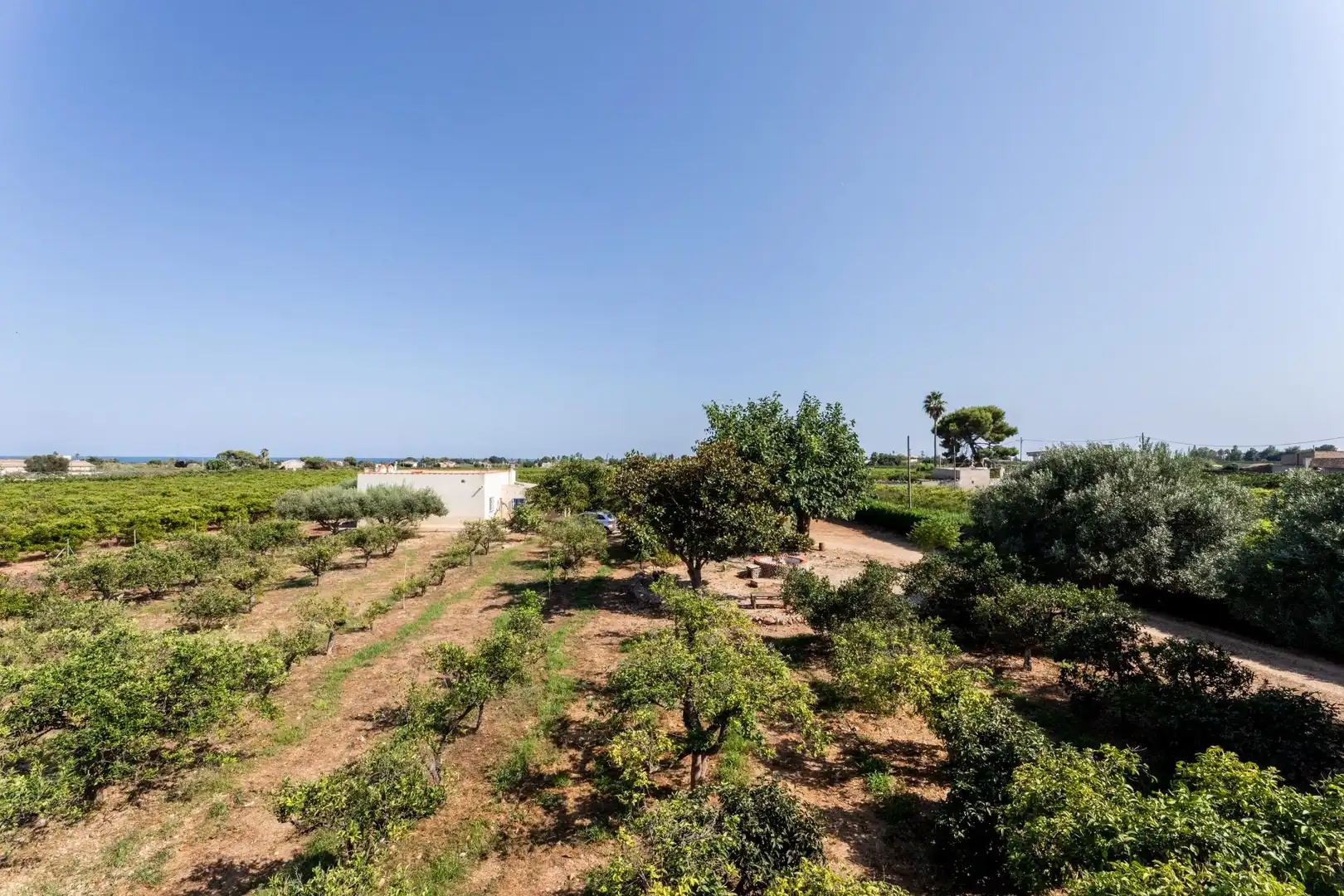 Casa rustica con giardino in vendita a Alcanar, imagen 16