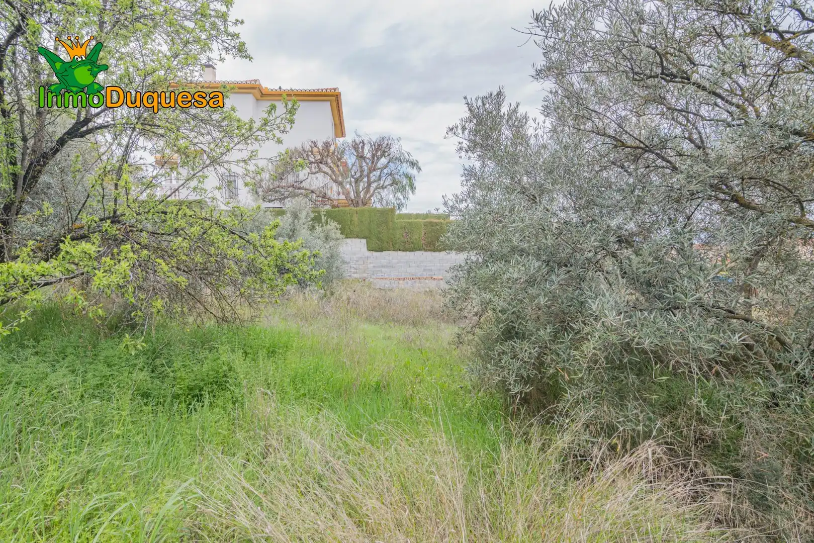 Terreni e lotti in vendita a Cúllar Vega, imagen 15